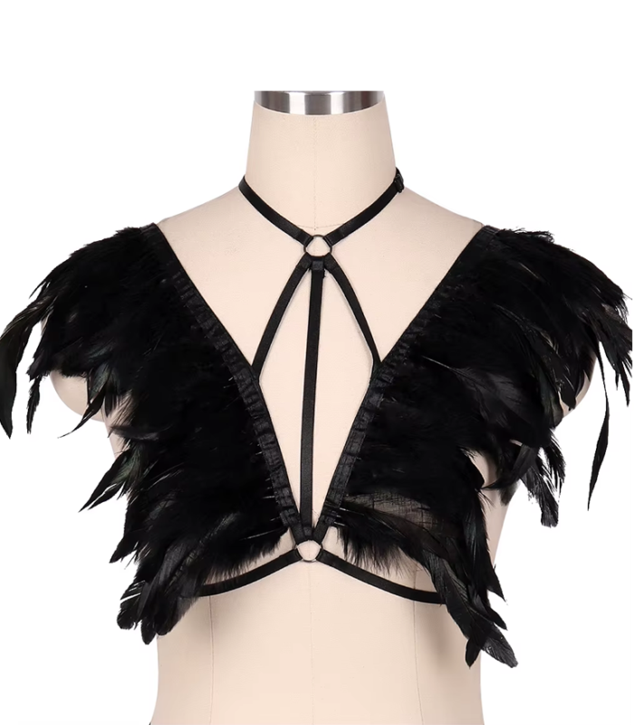 Cosmic Winged Harness 1