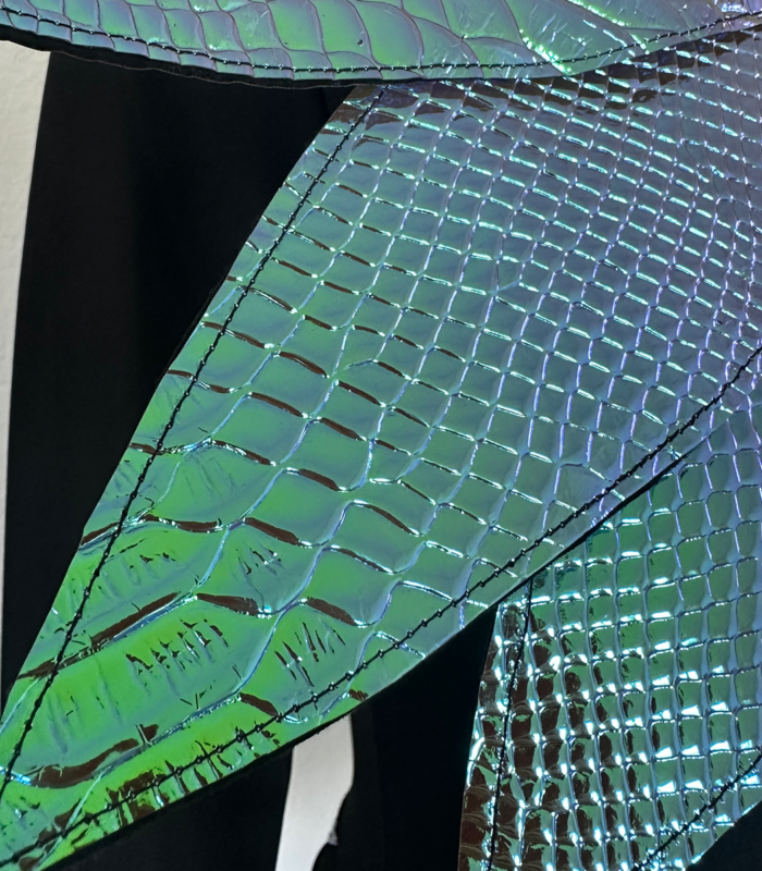 festival dress woman galactic dragonfly 2